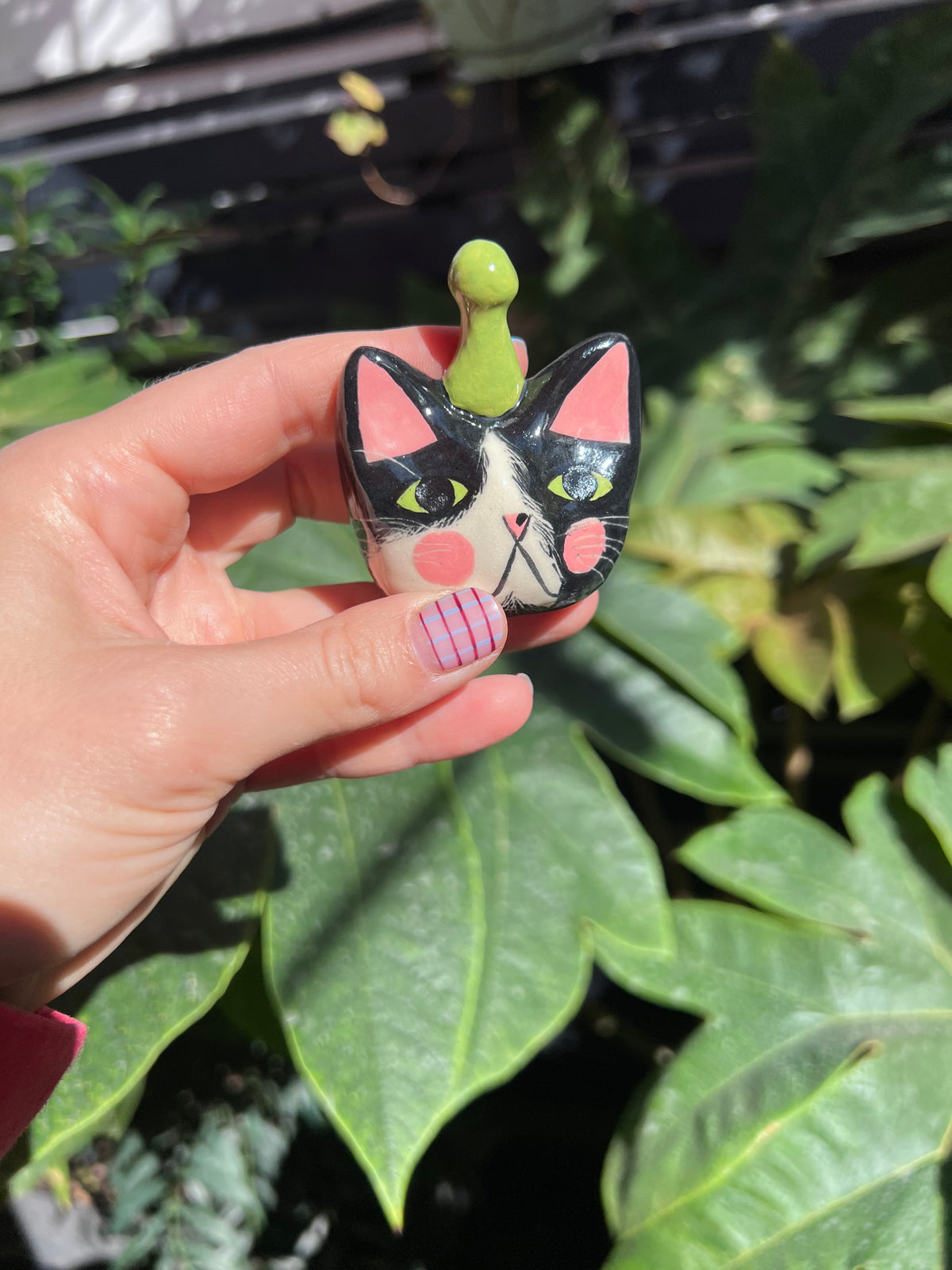 Custom cats for Dónal