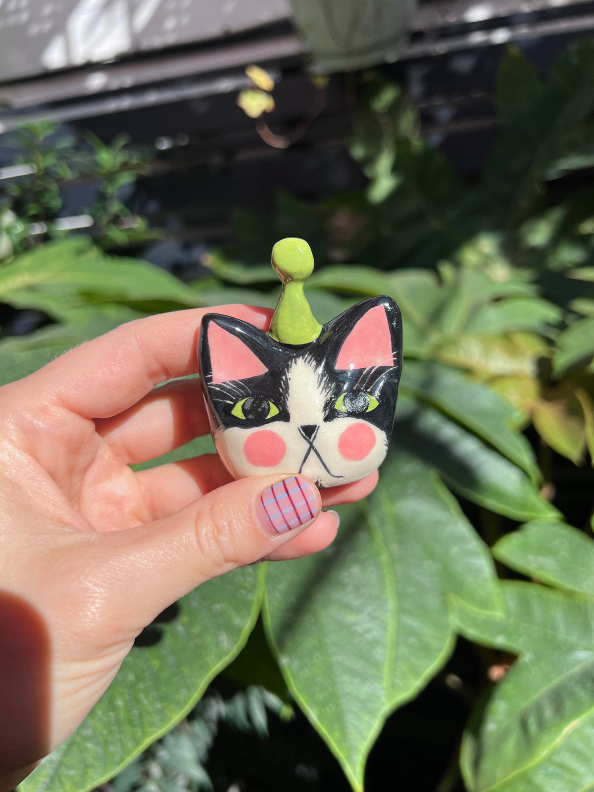 Custom cats for Dónal
